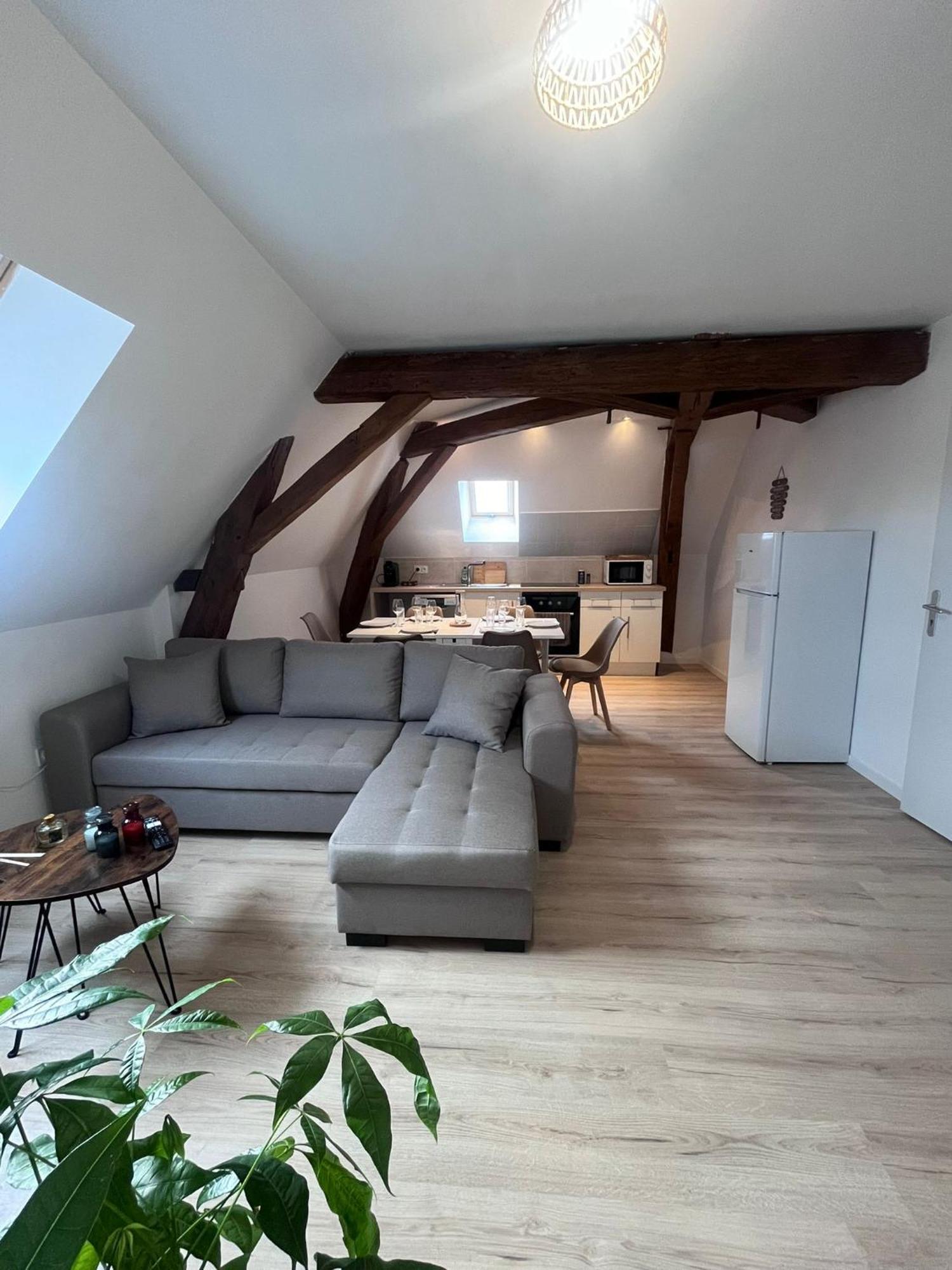L'evasion Urbaine - Parking Gratuit - Entree Autonome - Wifi